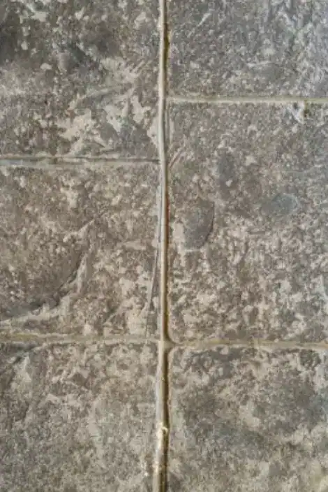 New Project - 2025-09-26T015357.554